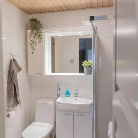 Arctic Serenity With Sauna Apartment Levi