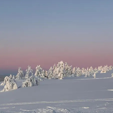 Arctic Serenity With Sauna Apartment *