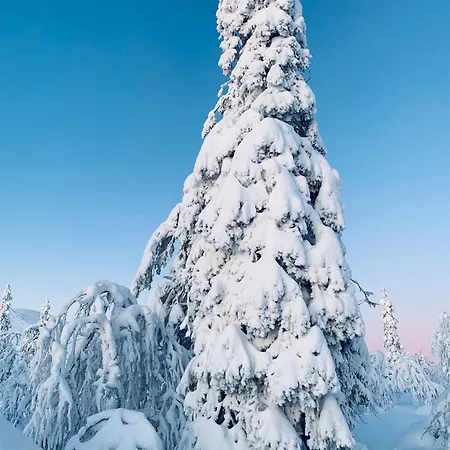 Arctic Serenity With Sauna *